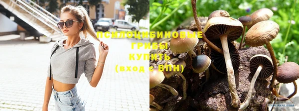 jwh Нязепетровск