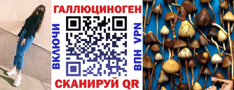 Псилоцибиновые грибы MAGIC MUSHROOMS Слюдянка