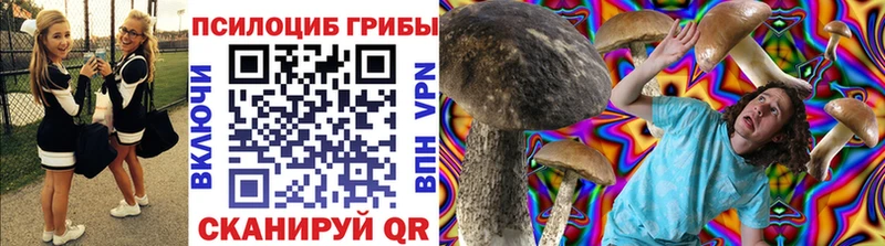 как найти закладки  Слюдянка  Псилоцибиновые грибы Psilocybine cubensis 